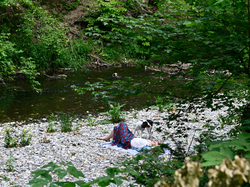 crédit photo: Alain Grosclaude lancy en été
