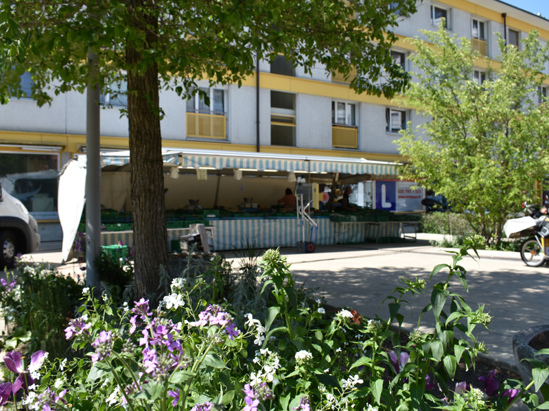 Les marchés de Lancy en images 2019