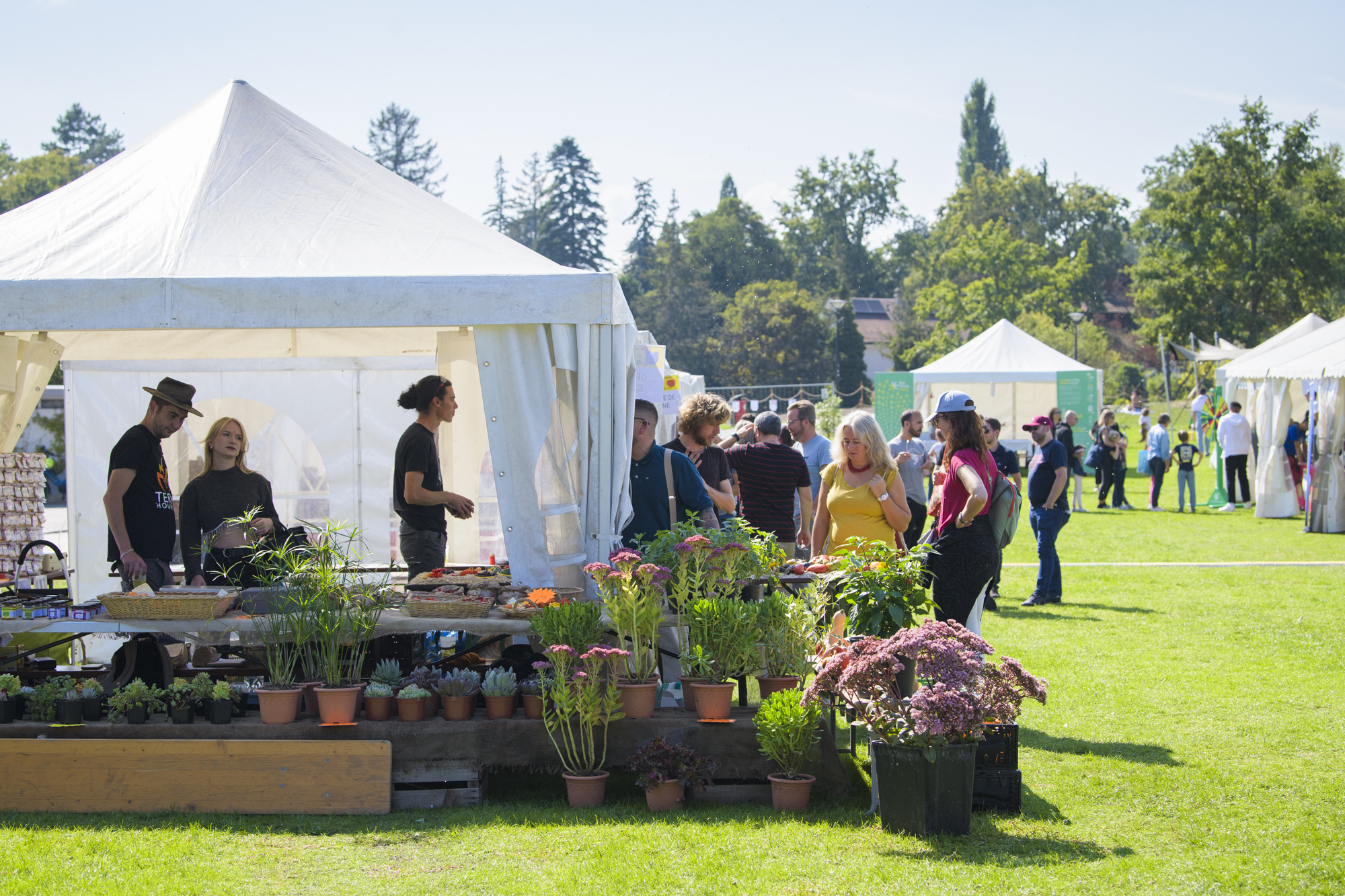 Fête de l'abeille 2024 en images