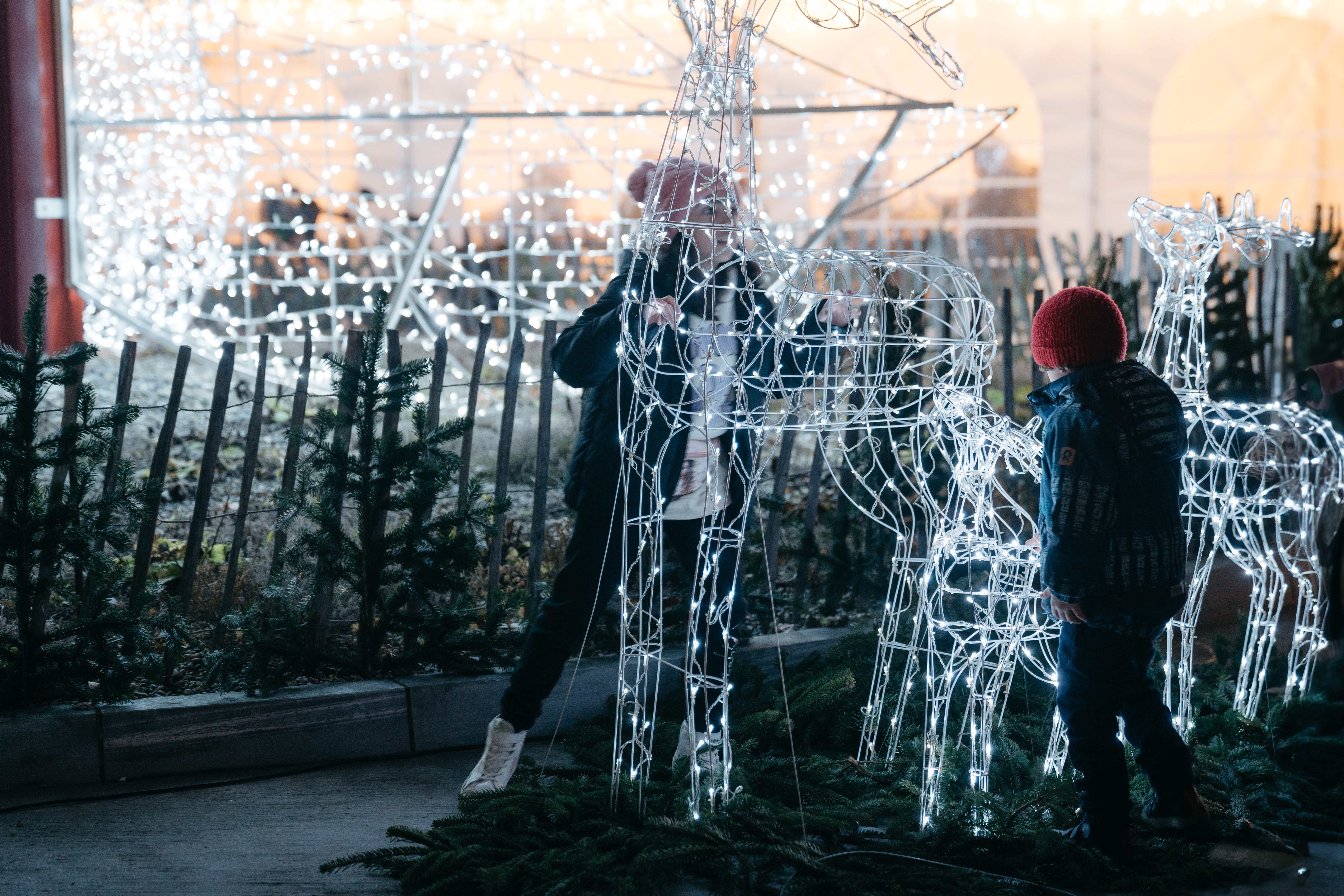 Marché de Noël 2024 en images