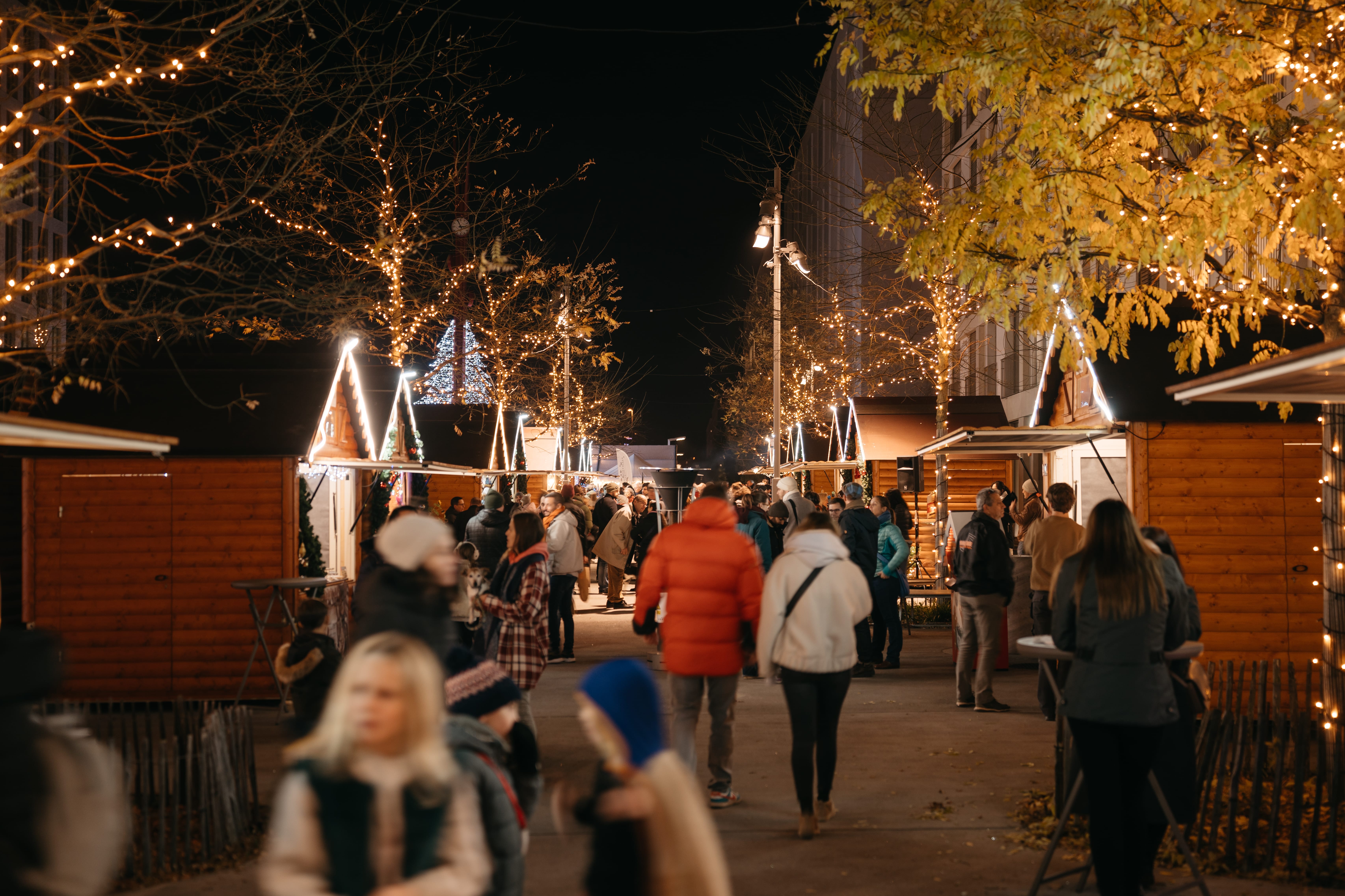 Marché de Noël 2024 en images