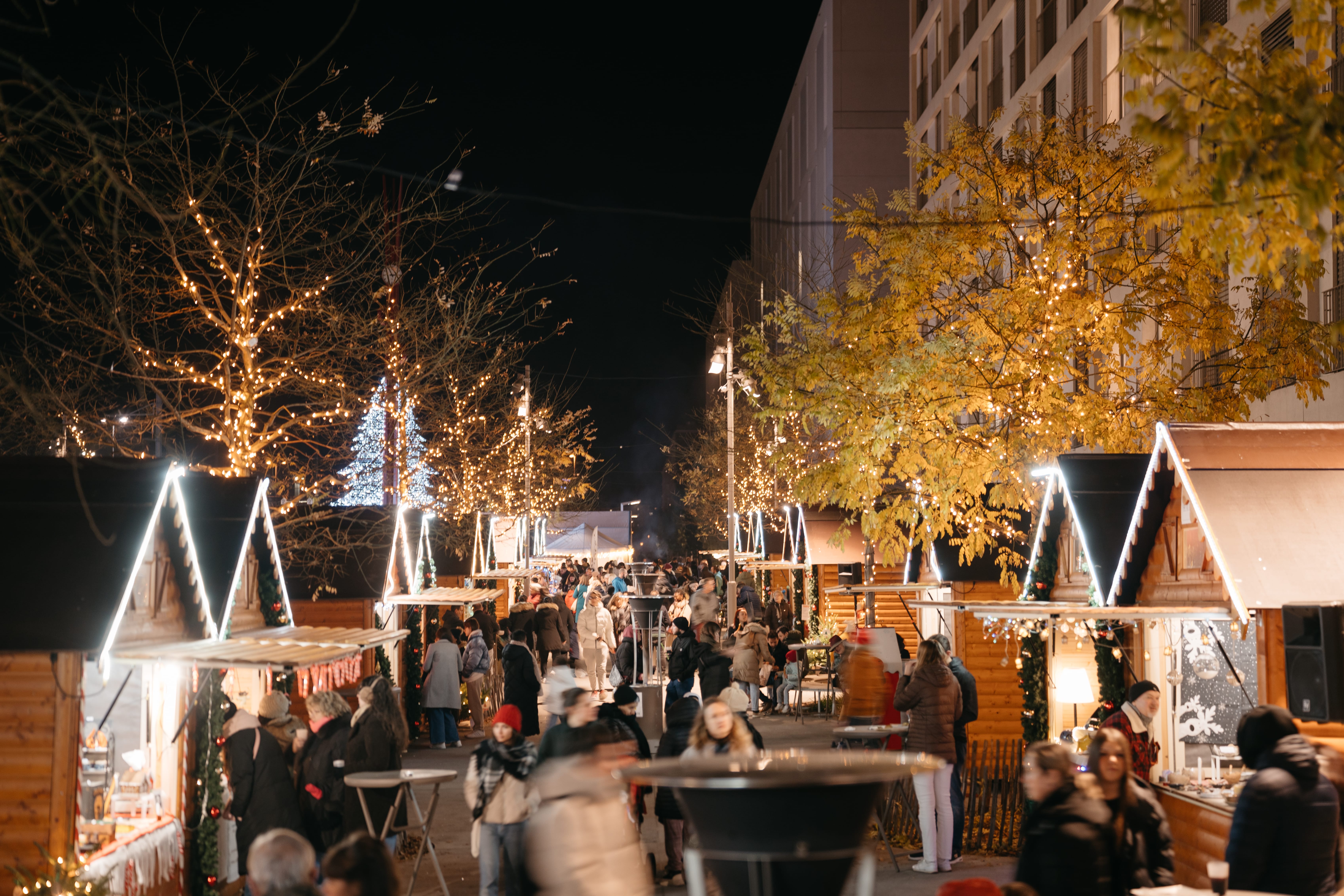 Marché de Noël 2024 en images