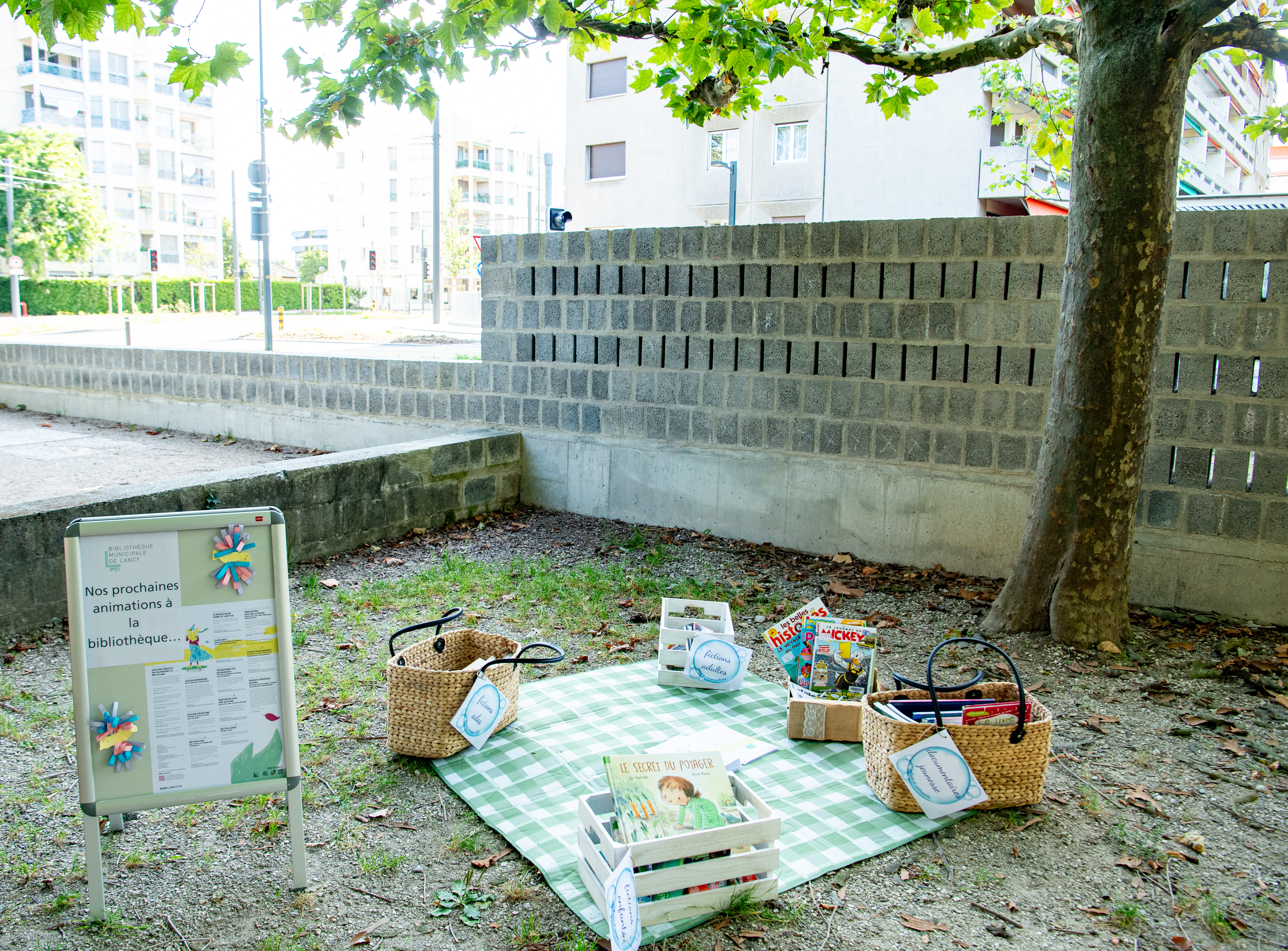 Lancy en été 2024 en images