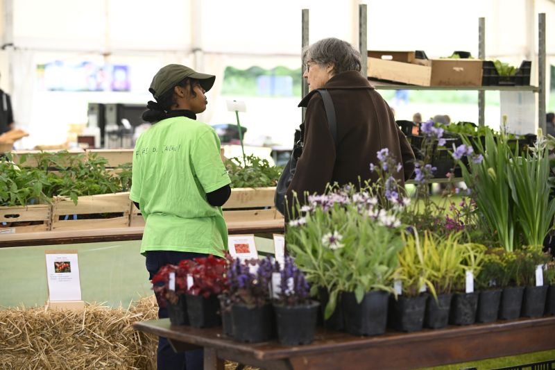 Faites du jardin 2024 en images