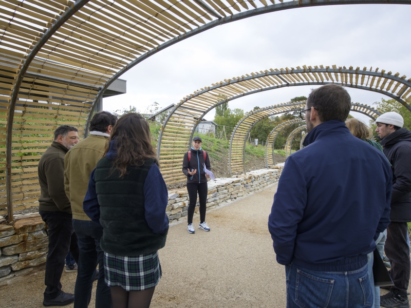 Mosaïque urbaine 2024: balades en images