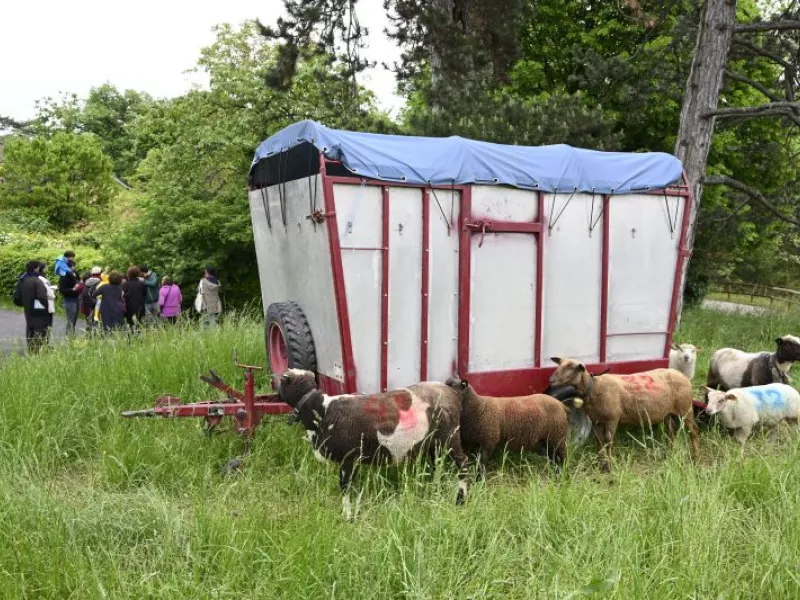 Faites du jardin ! 2023 en images