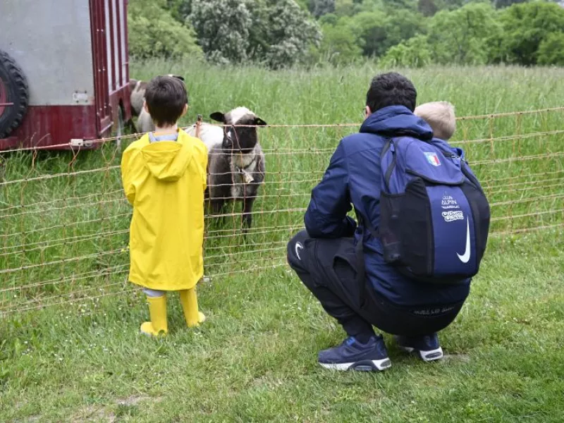 Faites du jardin ! 2023 en images