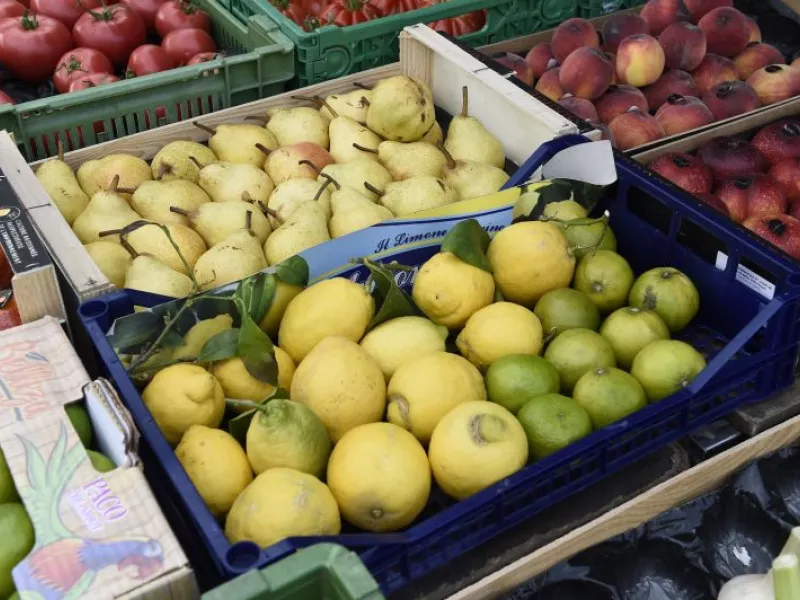 Marché du 1er août 