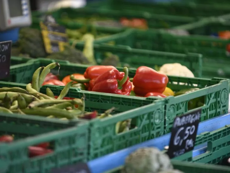 Les marchés de Lancy