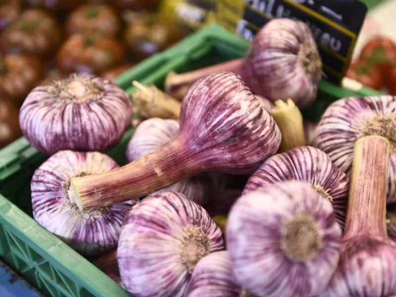 Les marchés de Lancy