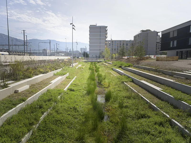 Environnement et espaces verts (7677)