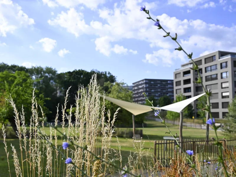 https://www.lancy.ch/plan-climat-lancy