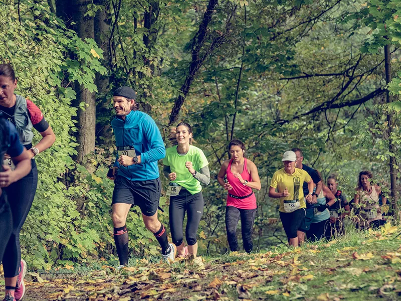 Course pédestre "Run'Aire"