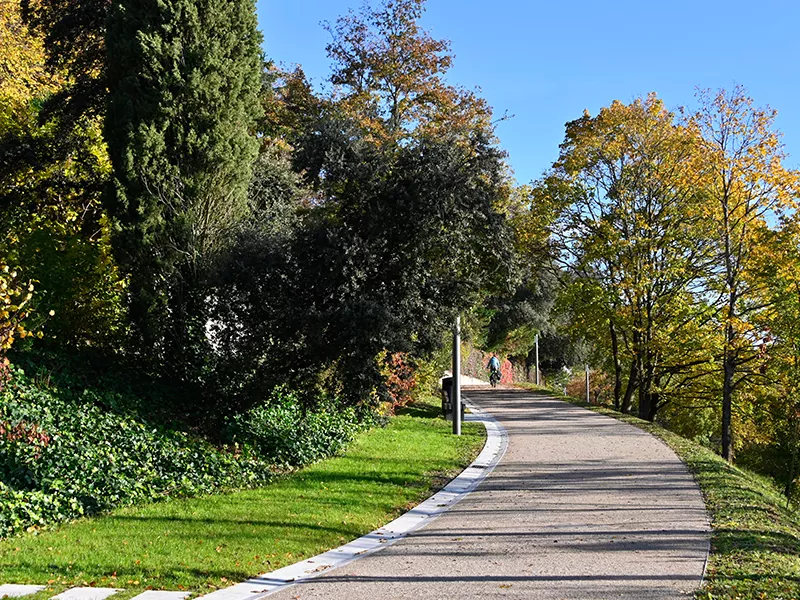 Promenade Nicolas Bouvier 