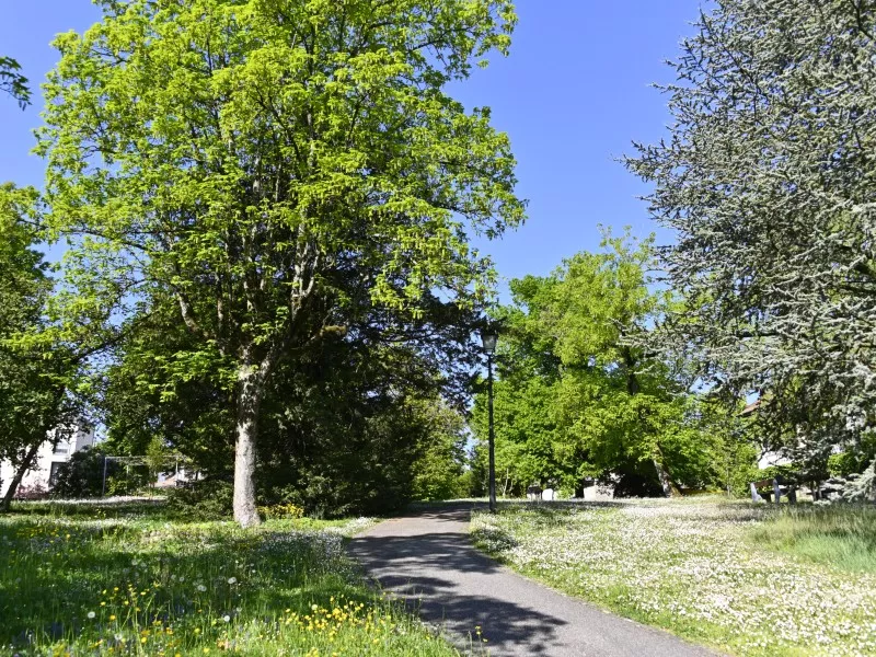 Environnement et espaces verts