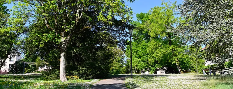 Développement du patrimoine arboré et de la biodiversité